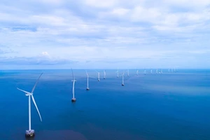Cà Mau phấn đấu trở thành trung tâm xuất khẩu năng lượng tái tạo của cả nước