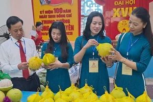 Quảng Bình: Khai trương gian hàng với 300 sản phẩm nông sản OCOP