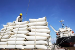 Giá gạo xuất khẩu của Việt Nam vẫn đang ở mức cao so với trước khi có cơn sốt gạo của thế giới. Ảnh: VGP