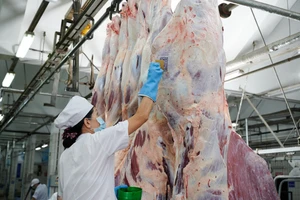 Thịt heo có thể tăng giá về cuối năm