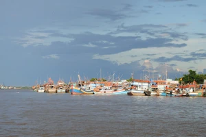 Phương hướng phát triển ngành quan trọng là xây dựng và phát triển tỉnh Cà Mau trở thành một trong những trung tâm kinh tế biển của cả nước