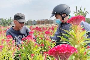 Người dân làng hoa Tân Ba giới thiệu các loại hoa cho khách hàng. Ảnh: HOÀNG BẮC
