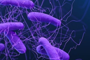 Châu Âu đối mặt với vi khuẩn siêu kháng thuốc mới