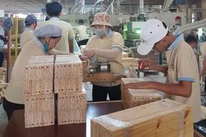 Hoa Kỳ gia hạn kết luận về tủ gỗ Việt Nam