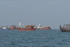 Quảng Bình: Tạm dừng tìm kiếm 10 ngư dân mất tích