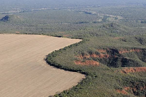 Một trong những thảo nguyên rộng lớn của vùng Cerrado (Brazil) đang bị sa mạc hóa. Ảnh: WWF