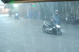 Bình Dương: Một người đi đường nghi bị mưa lớn cuốn xuống cống thoát nước