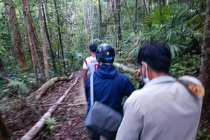 Vào thác K50 tham quan, nữ du khách bị cây đè tử vong