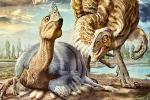 Xác định hóa thạch loài khủng long mới
