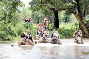 Cưỡi voi ở Kanchanaburi