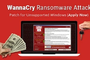 Vụ tấn công mạng toàn cầu: Pháp tìm ra cách cứu các tập tin nhiễm mã độc WannaCry