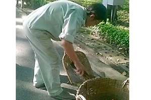Công nhân vệ sinh cần mẫn quét đường