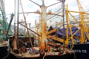 Nhiều tàu vỏ thép Bình Định hoen gỉ nghiêm trọng