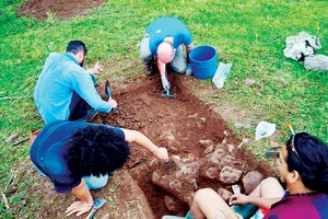 400 cổ vật được nghi thuộc nền văn minh Ulúa Matagalpa