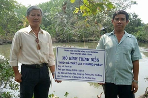 Mô hình khuyến nông “Nuôi cá thát lát thương phẩm” tại huyện Củ Chi