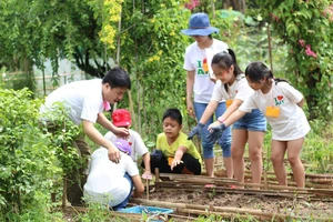 Khóa học về kỹ năng bảo vệ môi trường của AIT Việt Nam thu hút sự tham gia của nhiều học sinh. Ảnh: AIT Việt Nam cung cấp