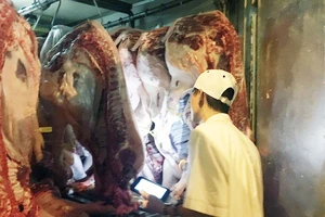 Cơ quan thú y kiểm tra thịt heo nhập vào chợ Hóc Môn