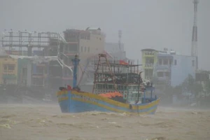 Bão số 12 giật cấp 15 đang ở trên đất liền ven biển các tỉnh Khánh Hòa - Phú Yên