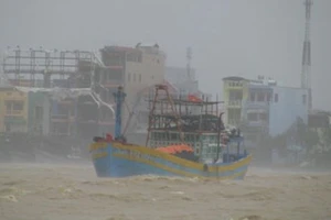 Các tỉnh, thành phố ven biển từ Thanh Hóa đến Khánh Hòa chủ động ứng phó bão số 13 