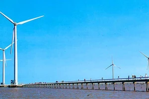 GIZ hỗ trợ Sóc Trăng phát triển điện gió