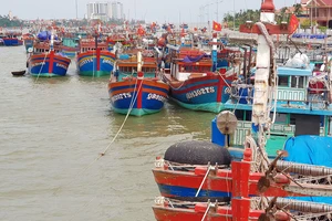 Xã biển Bảo Ninh có đội tàu cá xa bờ hùng mạnh