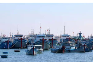 Bình Thuận chi gần 27 tỷ đồng hỗ trợ tàu cá hoạt động xa bờ