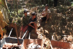 Kon Tum: Phát hiện hầm vàng “khủng” trong vườn chanh dây
