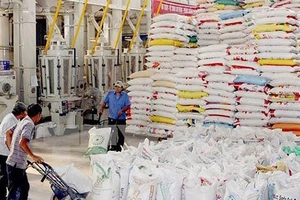 Đóng gói gạo xuất khẩu ở ĐBSCL