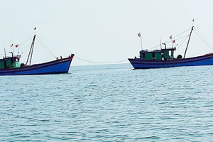 Để tàu cá vi phạm vùng biển nước ngoài, lãnh đạo thị xã La Gi bị kiểm điểm