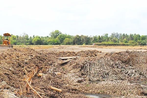 Bình Phước: Dừng 5 dự án trên đất rừng sản xuất và đất trồng lúa