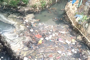 Kênh A41 (quận Tân Bình, TPHCM) luôn có rất nhiều rác thải sinh hoạt. Ảnh: THANH HẢI