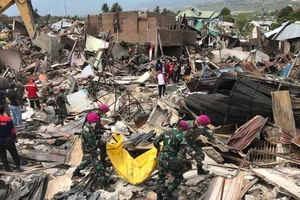 Lực lượng chức năng Indonesia đang nỗ lực tìm kiếm những người sống sót trong đống đổ nát. Ảnh: EPA