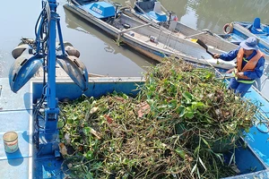 Nước lên, những khóm lục bình dài hàng chục mét dạt vào kênh Nhiêu Lộc - Thị Nghè khiến công nhân cật lực làm việc cả buổi mới xử lý được. Ảnh: THU HƯỜNG