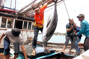 Thí điểm đưa lao động sang Thái Lan đánh bắt cá