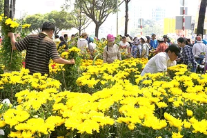 Người dân thưởng lãm các chợ hoa đầy sắc màu