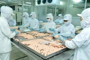 Sản xuất thực phẩm chế biến phục vụ người tiêu dùng dịp tết tại CJ Cầu Tre. Ảnh: CAO THĂNG
