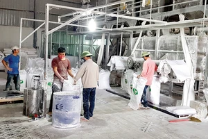 Sản xuất nguyên liệu sắn xuất khẩu tại một nhà máy