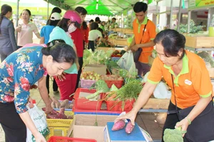 Vận động tiểu thương, nhân dân không sử dụng túi ni lông