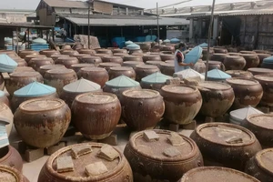 Sản xuất nước mắm theo phương thức truyền thống tại Công ty TNHH nước mắm Hải Khanh (phường Phú Hài, TP Phan Thiết). Ảnh: Nguyễn Tiến