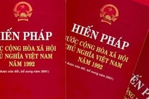 Tổng kết Chiến lược xây dựng và hoàn thiện hệ thống pháp luật Việt Nam