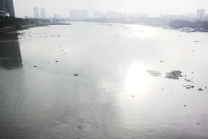Bảo vệ nguồn nước hệ thống sông Sài Gòn - Đồng Nai đang là yêu cầu cấp bách