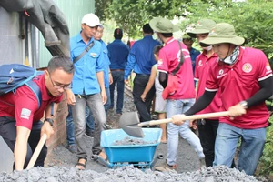 Đoàn viên thanh niên thực hiện bêtông hóa các tuyến hẻm tại huyện Bình Chánh