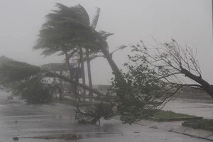 Áp thấp nhiệt đới đã mạnh lên thành bão, đổ bộ các tỉnh từ Quảng Ninh đến Nam Định