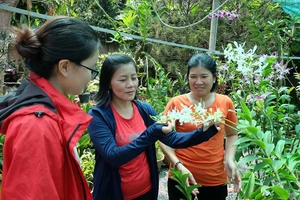 Chị Kiều Thơ (đứng giữa) hướng dẫn hội viên chăm sóc hoa lan
