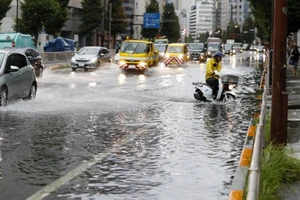 Siêu bão Faxai đổ bộ Nhật Bản, giao thông nhiều nơi tê liệt