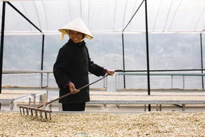 Cà phê là một trong sản phẩm mà Hàn Quốc tiêu thụ số lượng rất lớn