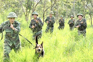 Cán bộ, chiến sĩ đơn vị Cụm cơ động chó nghiệp vụ 3 huấn luyện cảnh khuyển mật phục bắt tội phạm ma túy 