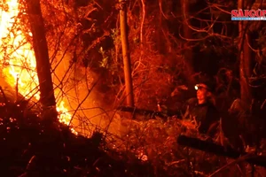 Lực lượng chức năng dập lửa trong vụ cháy rừng tại Hà Tĩnh hồi tháng 7-2019