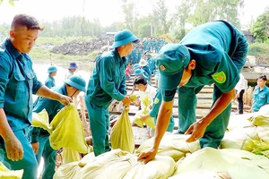 Đắp đập ngăn nước mặn ở cống Trùm Thuật huyện Trần Văn Thời (Cà Mau)