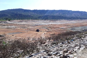 Nhiều hồ nước tại Ninh Thuận đã cạn đáy khi mới bắt đầu mùa khô